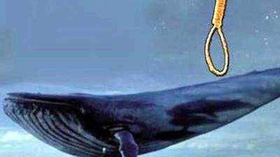 Gujarat govt announces Rs 1 lakh reward to find Blue Whale curators 