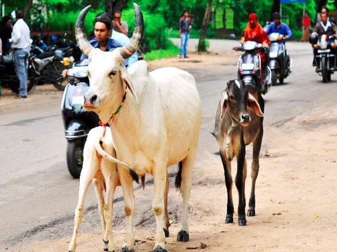 पितृ पक्ष में ऐसा जरूर करना चाहिए