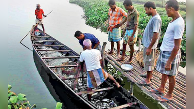 জলাভূমি ধ্বংস রুখতে জনস্বার্থ মামলা