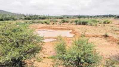 ಅವ್ಯಾಹತ ಅತಿಕ್ರಮಣ, ವಿನಾಶದತ್ತ ಬಿದರಕಟ್ಟೆ ಕೆರೆ