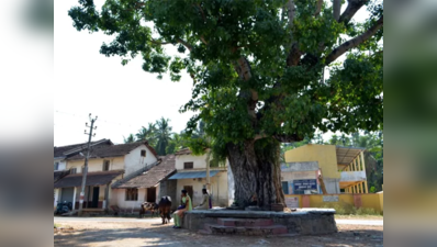 हर मिनट 30 लोग छोड़ रहे गांव : पूर्व DRDO चीफ