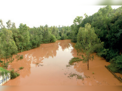 ದಶಕಗಳ ಬಳಿಕ ಮರುಹುಟ್ಟು ಪಡೆದ ಅರ್ಕಾವತಿ