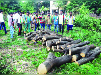 ಮಂಡ್ಯ: ಶಾಲಾ ಆವರಣದ ಮರದ ಕೊಂಬೆಗಳಿಗೆ ಕೊಡಲಿ: ಆಕ್ರೋಶ