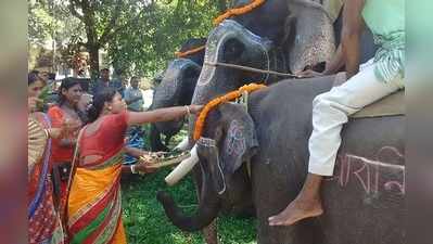 গোরুমারা ও জলদাপাড়ায় পুজো পেল বিশ্বকর্মার বাহন