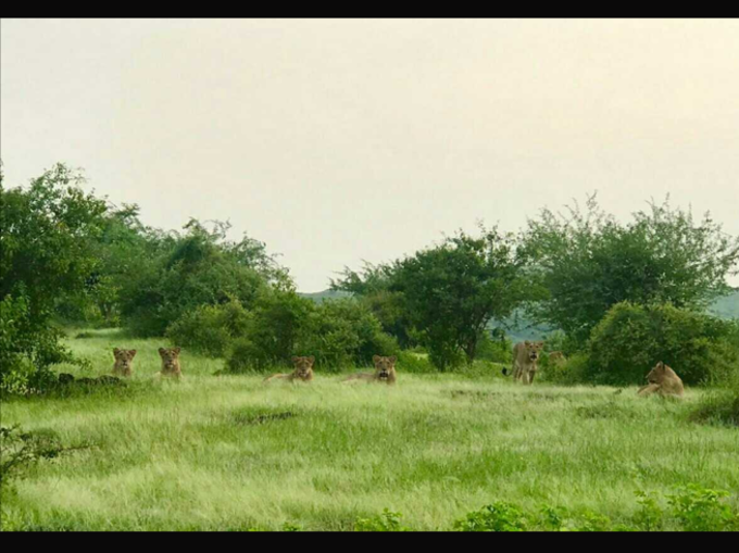 बारिश में बदला ठिकाना