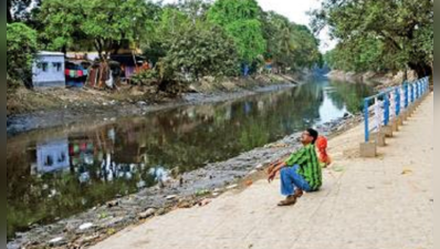 আদিগঙ্গার দূষণমুক্তি, প্রকল্প শুরুর সম্ভাবনা