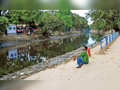 আদিগঙ্গার দূষণমুক্তি, প্রকল্প শুরুর সম্ভাবনা