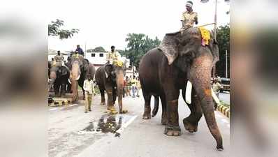 ಜಂಬೂ ಸವಾರಿ ಮೆರವಣಿಗೆ: 40 ತಂಡ ಆಯ್ಕೆ