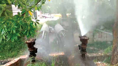 Delhi: Damaged pipeline leads to heavy water wastage near Raj Ghat 