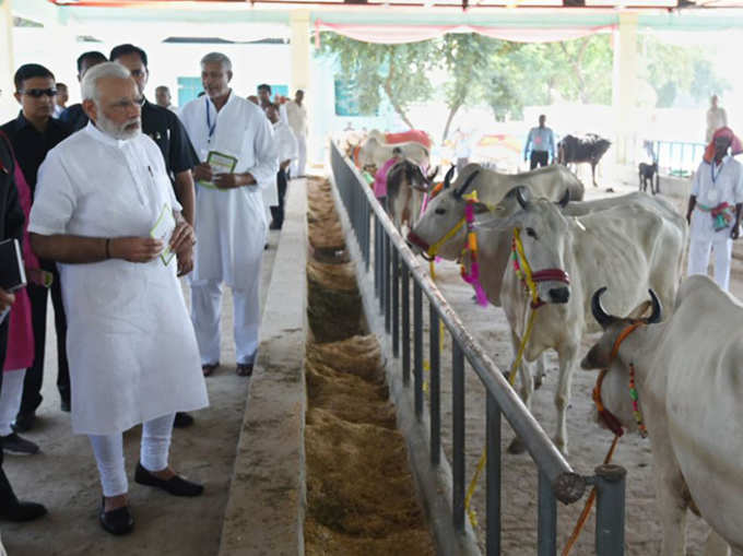 पशुधन मेला का उद्घाटन