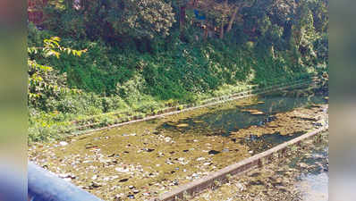 ಇಲ್ನೋಡಿ ಹೆಂಗಿದೆ ಅಘನಾಶಿನಿ ಮೂಲ?