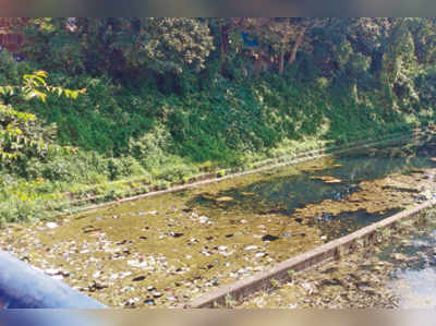 ಇಲ್ನೋಡಿ ಹೆಂಗಿದೆ ಅಘನಾಶಿನಿ ಮೂಲ?