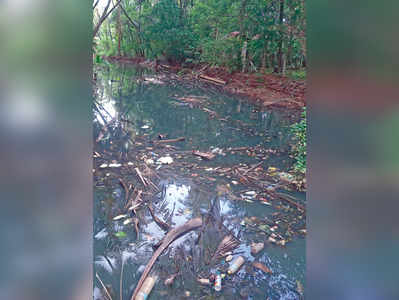 ನಾಲಾ ಮಲಿನ :ಅಧಿಕಾರಿಗಳ ಪರಿಶೀಲನೆ