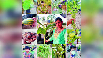 ತಾರಸಿ ತೋಟದಲ್ಲಿ ಸಮೃದ್ಧ ತರಕಾರಿ