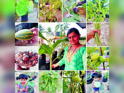 ತಾರಸಿ ತೋಟದಲ್ಲಿ ಸಮೃದ್ಧ ತರಕಾರಿ