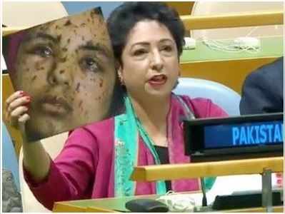 पाकिस्तान द्वारा फर्जी तस्वीर के इस्तेमाल पर UNGA प्रेजिडेंट बोले, इसके बारे में विचार करेंगे