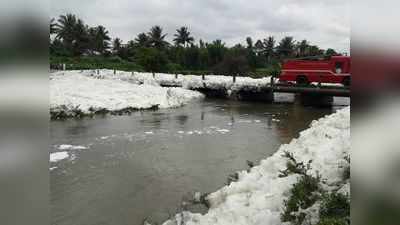 பொங்கி
வழியும் ரசாயன நுரை; வருத்தத்தில் கிருஷ்ணகிரி விவசாயிகள் !