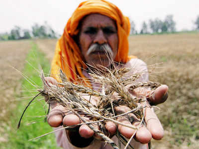 पंजाब-हरियाणा के मुकाबले गुजरात के किसान गरीब हैं