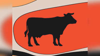 नाली में 6 घंटे फंसी रही गर्भवती गाय