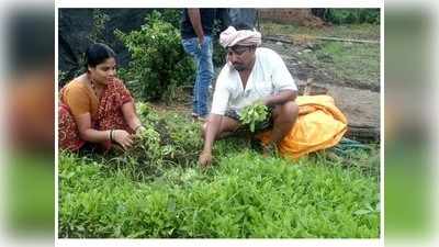 ಅನಕ್ಷರಸ್ಥ ರೈತನಿಗೆ ಆರ್ಥಿಕ ಸ್ವಾವಲಂಬನೆ ನೀಡಿದ ಗೈಲಾರ್ಡಿಯಾ