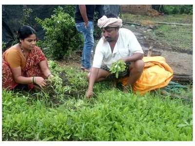 ಅನಕ್ಷರಸ್ಥ ರೈತನಿಗೆ ಆರ್ಥಿಕ ಸ್ವಾವಲಂಬನೆ ನೀಡಿದ ಗೈಲಾರ್ಡಿಯಾ