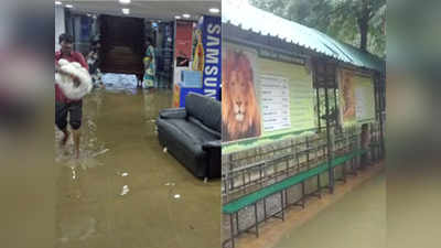 हैदराबाद: भारी बारिश से बाढ़ जैसी स्थिति, 3 की मौत