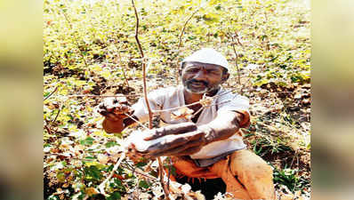 कृषि राज्यमंत्री पर बिफरे किसान, कीटनाशक छिड़काव का किया प्रयास