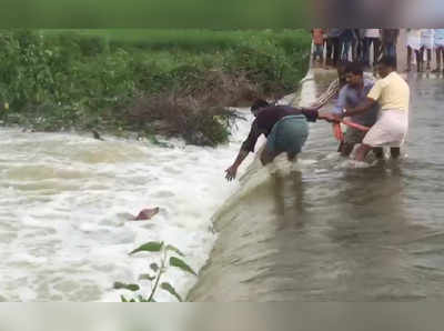 సాహసం.. వీధికుక్కను భలే కాపాడారే!