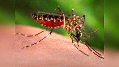 गाजियाबाद: स्वास्थ्य विभाग का दावा, डेंगू से नहीं हुई कोई मौत
