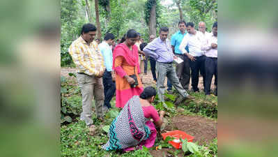 ಕಾಫಿ ಭಾರತದ ವಿಶಿಷ್ಟ ಪೇಯ