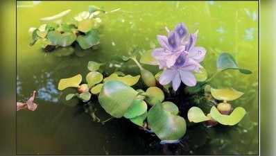 ಹಾಳು ಅಂತರಗಂಗೆ ಈ ಮಹಿಳೆಯರ ಬಾಳ ಗಂಗೆ