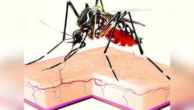 डेंगू के बाद नये वायरस की चपेट में कोलकाता