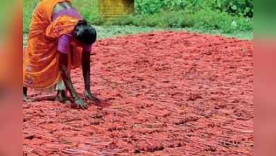 বাজি-নিষেধে তথাগতর তির