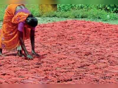 বাজি-নিষেধে তথাগতর তির