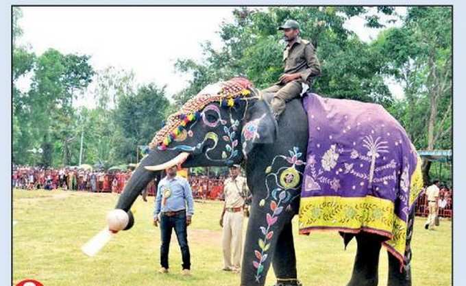 ನೋಡುಗರ ಮನ ಸೆಳೆದ  ಆನೆಯ ಕ್ರಿಕೆಟ್‌ ಆಟ