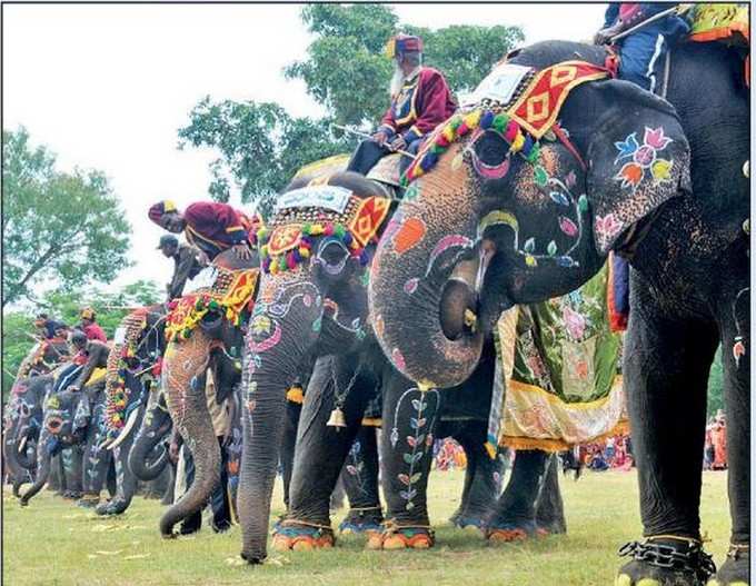 ಕ್ರೀಡೆ, ಮನರಂಜನೆ ನೀಡಲು ಸಜ್ಜಾಗಿ ನಿಂತ ಗಜಪಡೆಗಳ ನೋಟ