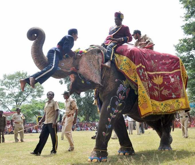 ಸಕ್ರೆಬೈಲು ಬಿಡಾರದಲ್ಲಿ ಕಸರತ್ತುಗಳೊಂದಿಗೆ ನಲಿದ ಆನೆ