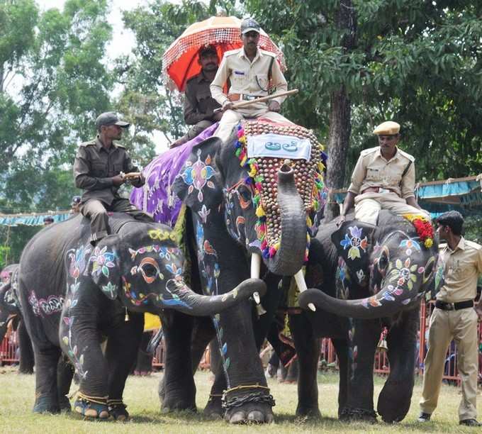 ಸಾಲಂಕೃತ ಗಜ ಸಂಸಾರದ ನಡೆಗೆ ಸೊಬಗು