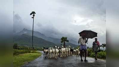 தமிழகம் முழுவதும் இடியுடன் கூடிய மழை பெய்ய வாய்ப்பு – வானிலை மையம்