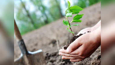 नवी मुंबई मनपा ने लगाएगी 100 नए पौधे