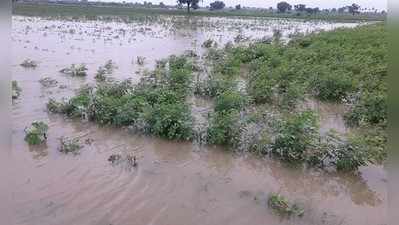 ವರ್ಷ ಕಳೆದರೂ ಬಾರದ ಬೆಳೆ ವಿಮೆ!