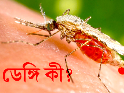 ইনফোগ্রাফিক্স: ডেঙ্গি কী?