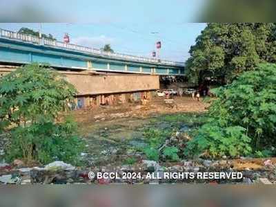 ইংরেজবাজারে ঝুলন্ত উদ্যানের পরিকল্পনা