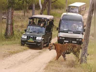 ಬಲು ದುಬಾರಿ eco tourism