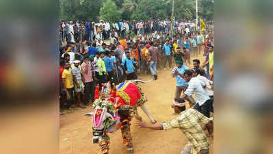 ಜನಸಾಗರದ ನಡುವೆ ಹೋರಿಬೆದರಿಸುವ ಸ್ಪರ್ಧೆ