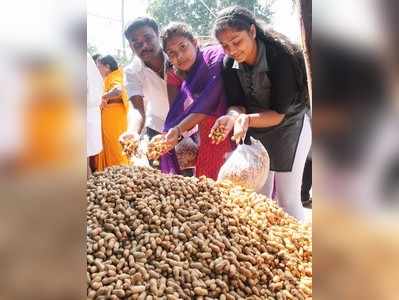 ಕಡಲೆಕಾಯಿ ಪರಿಷೆಗೆ ಬಸವನಗುಡಿ ಸಜ್ಜು