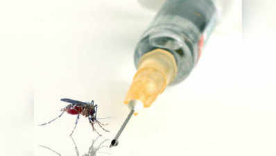 भारत में डेंगू के नए वायरस की हुई पुष्टि