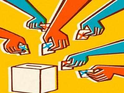 निकाय चुनाव: बीजेपी से नहीं हुआ समझौता, अपना दल ने चुनाव लड़ने से किया इनकार