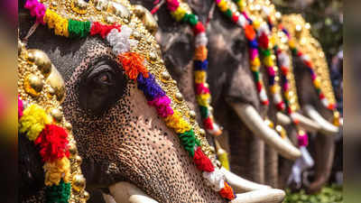 ആന എഴുന്നള്ളിപ്പിന് കര്‍ശന നിബന്ധനകള്‍