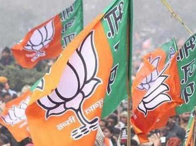 निकाय चुनाव: BJP ने महिला सीट पर पुरुष को दिया टिकट!